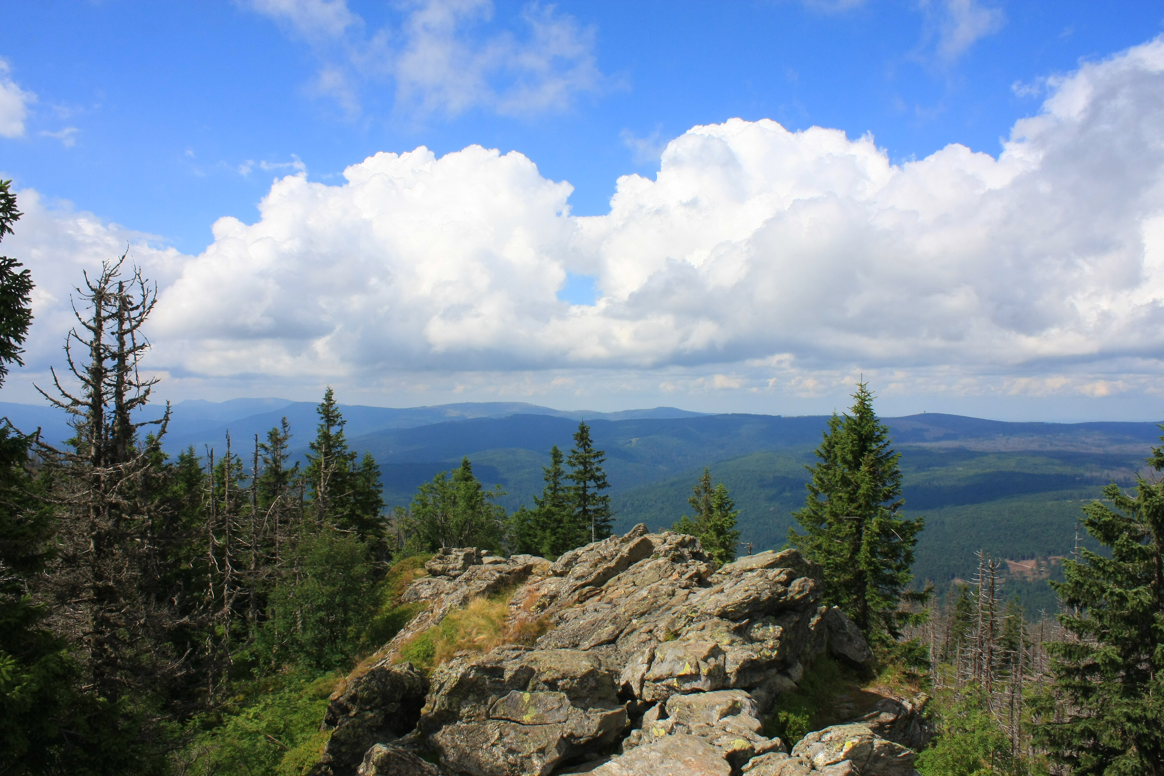Nationalpark Bayerischer Wald