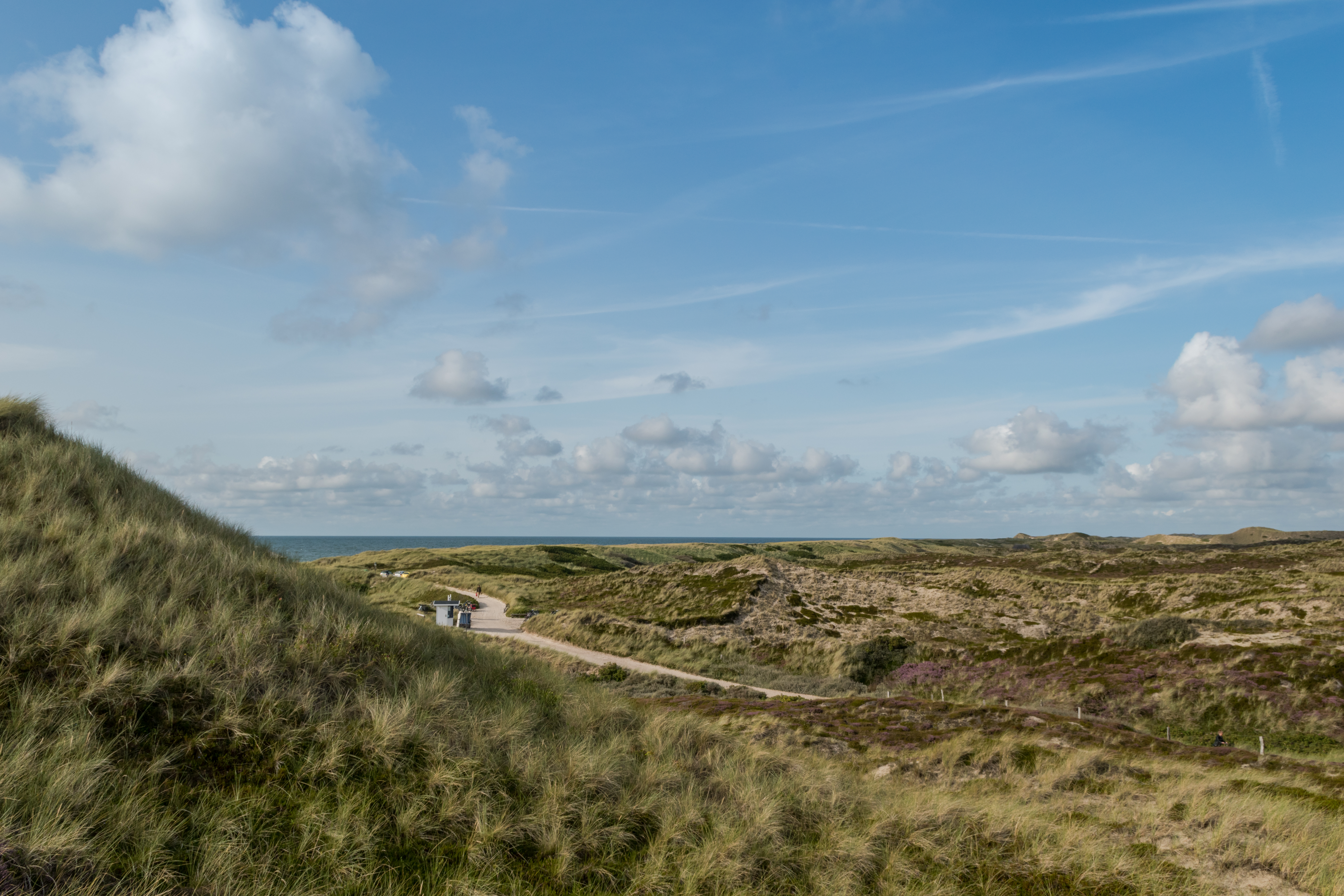 Sylt Sylt