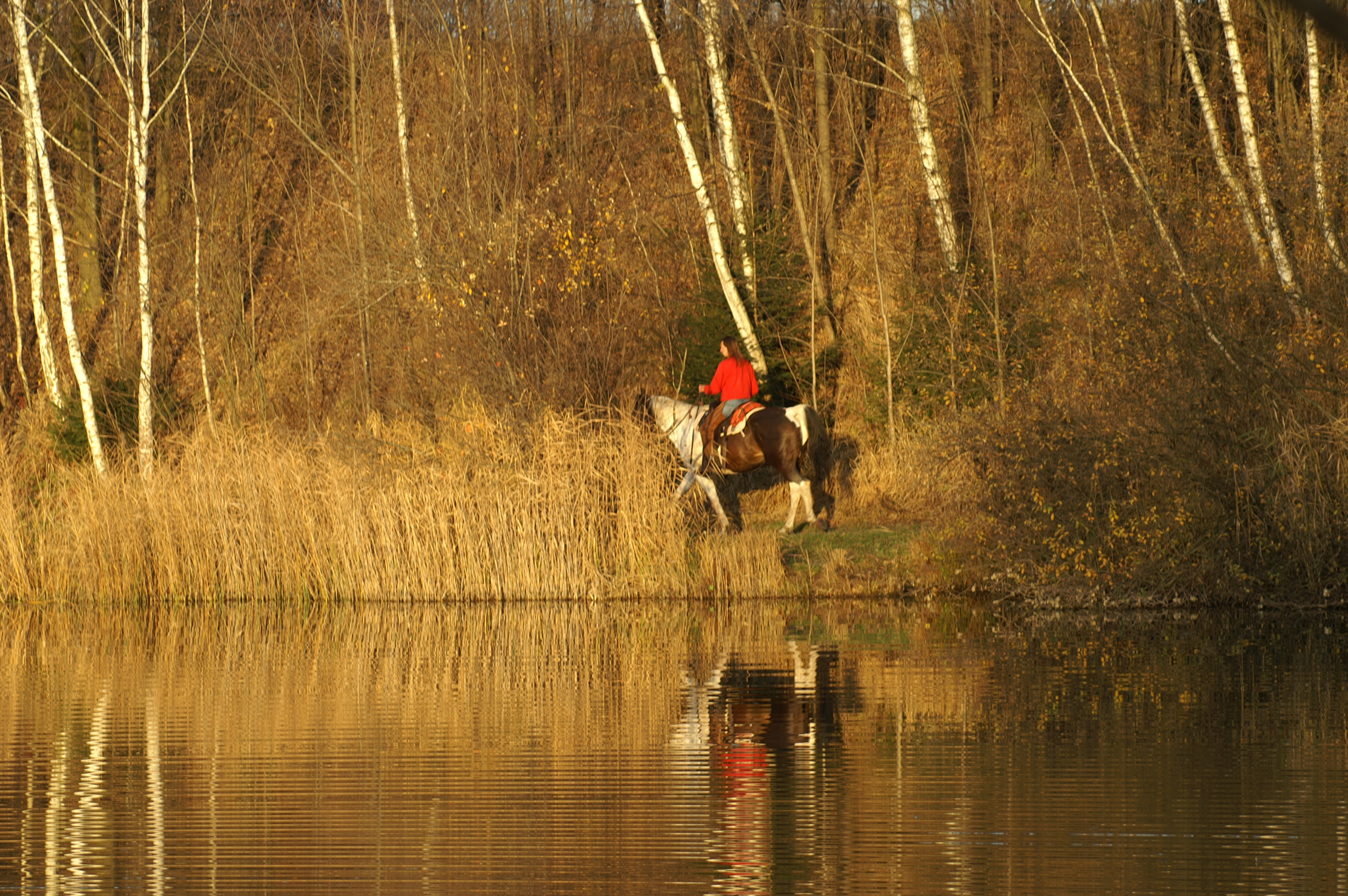 Wanderreiten