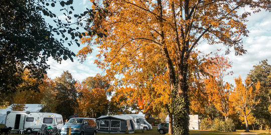 Camping am See