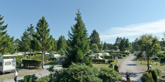 Campingplatz "Auf dem Simpel"