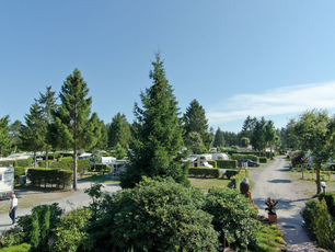 Campingplatz "Auf dem Simpel"