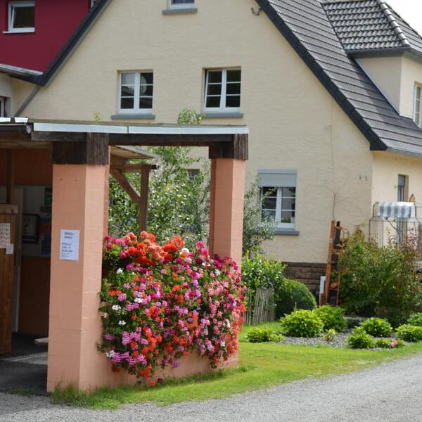 Camping Waldfrieden