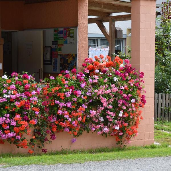 Camping Waldfrieden