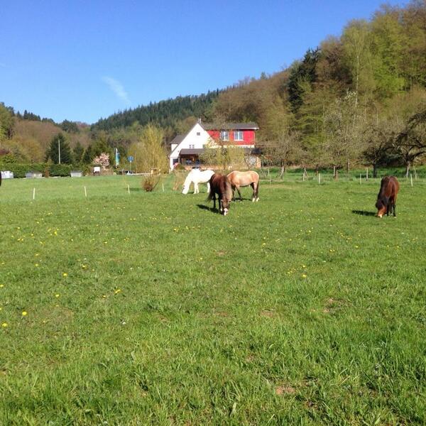 Camping Waldfrieden