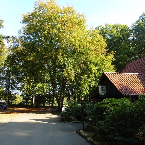 Campingplatz Aschenbeck