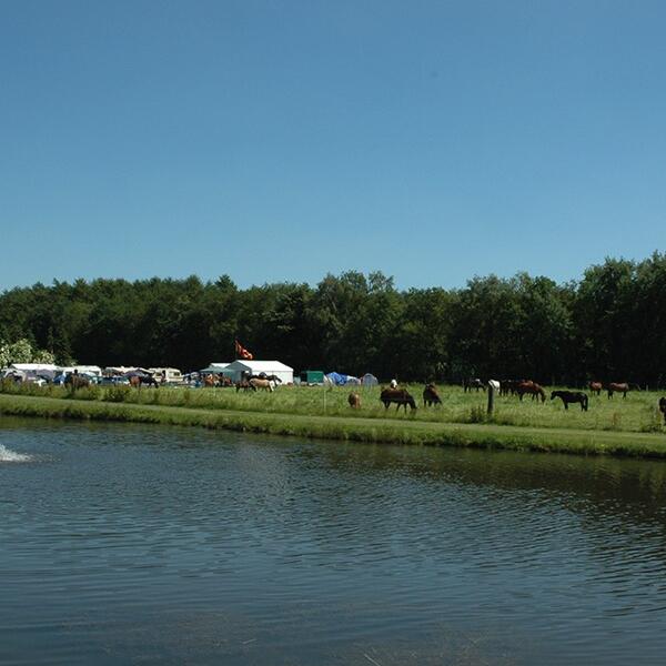 Campingplatz Aschenbeck