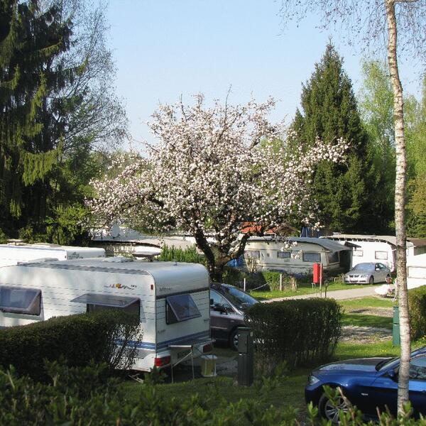 Campingplatz u. Ferienhaus Hofbauer