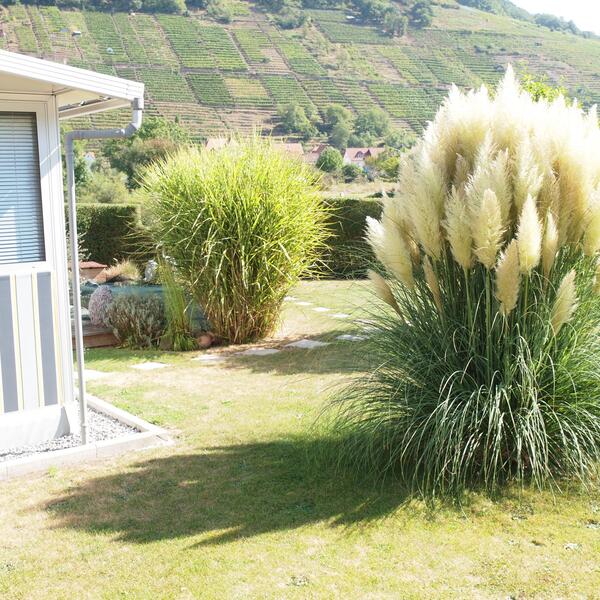 Campingplatz Mainruh