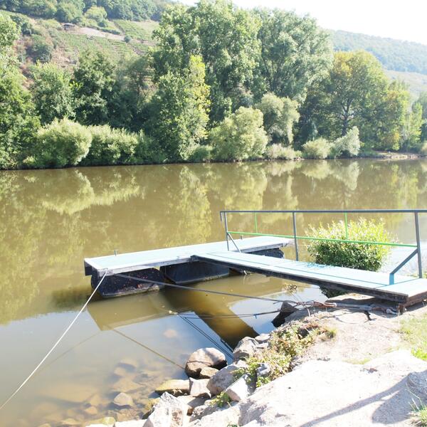Campingplatz Mainruh