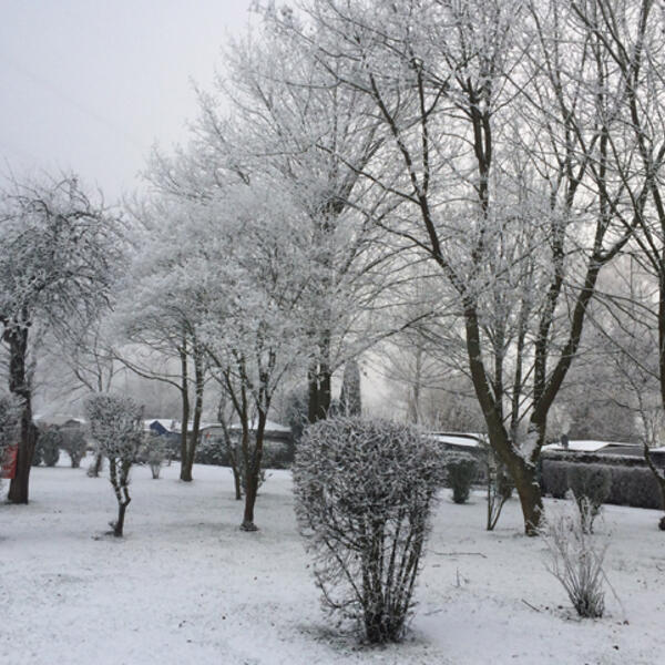 Campingplatz Affolderner See