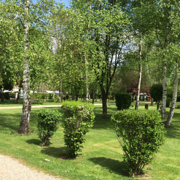 Campingplatz Affolderner See
