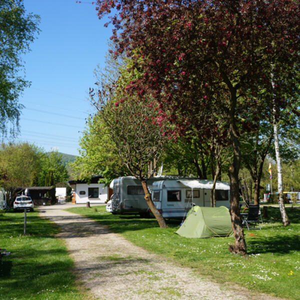 Campingplatz Affolderner See
