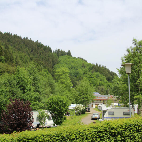 Schwarzwaldcamping Alisehof