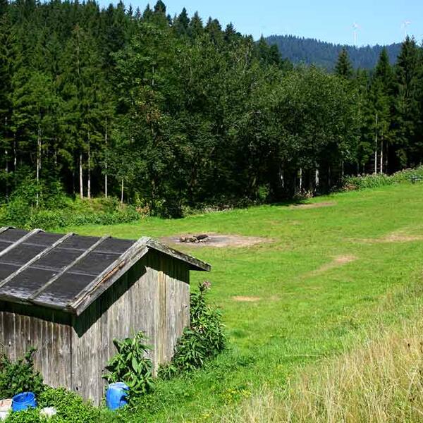 Schwarzwaldcamping Alisehof
