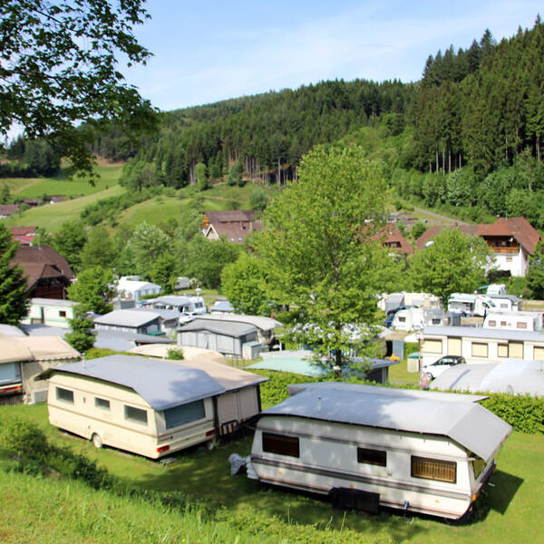 Schwarzwaldcamping Alisehof