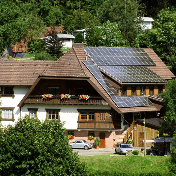 Schwarzwaldcamping Alisehof