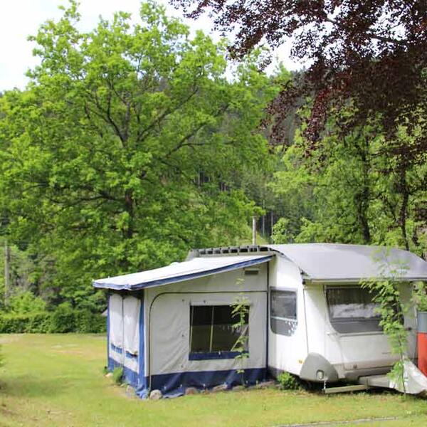 Schwarzwaldcamping Alisehof