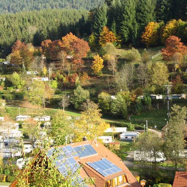 Schwarzwaldcamping Alisehof