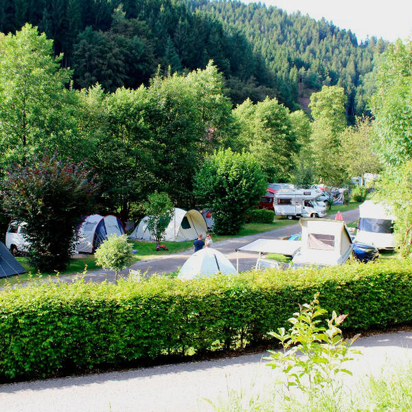 Schwarzwaldcamping Alisehof