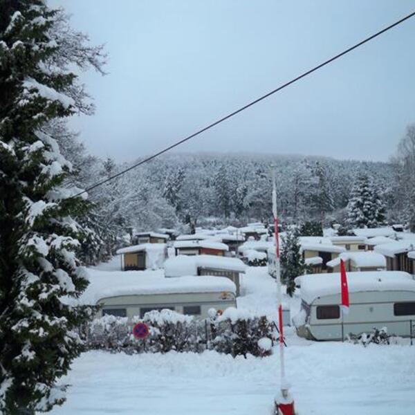 Campingplatz Amalienhof