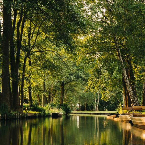 Spreewald-Natur-Camping "Am Schlosspark"