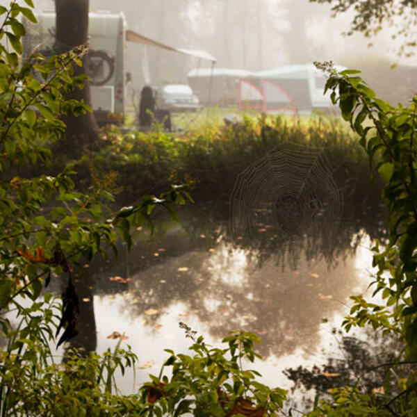 Spreewald-Natur-Camping "Am Schlosspark"
