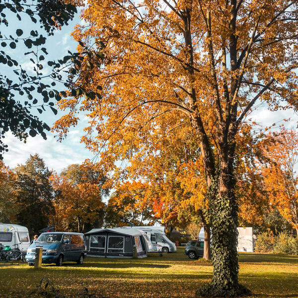 Camping am See