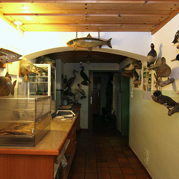 Camping beim Fischer