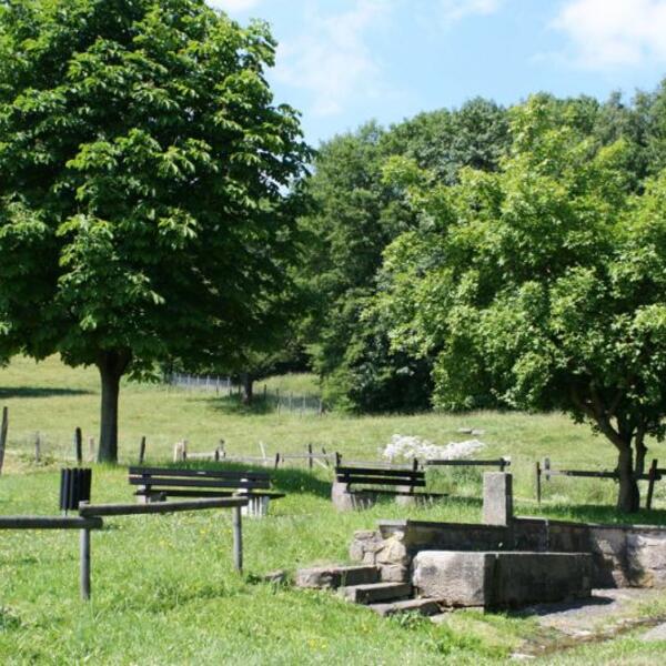 Campingplatz Birkenhain