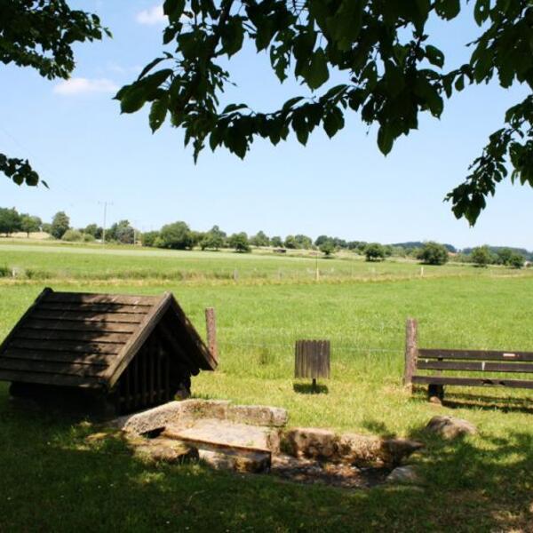 Campingplatz Birkenhain