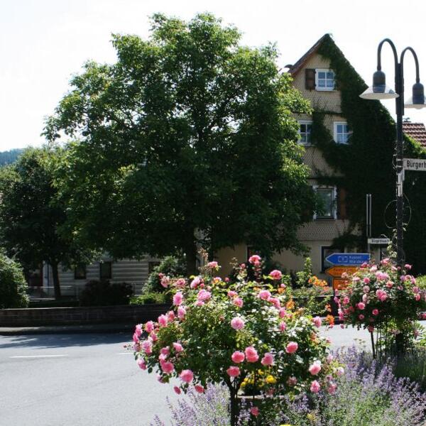 Campingplatz Birkenhain