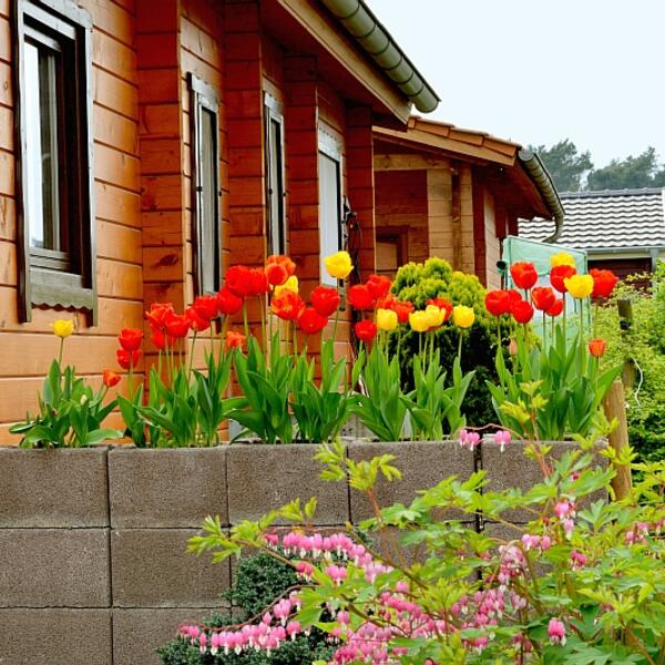 Camping & Freizeitplatz Brachter Wald