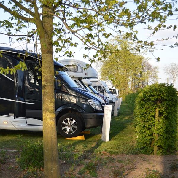 Camping & Freizeitplatz Brachter Wald