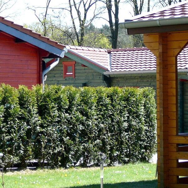 Camping & Freizeitplatz Brachter Wald