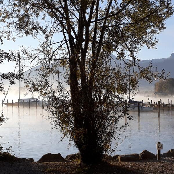 Panorama Camping Harras