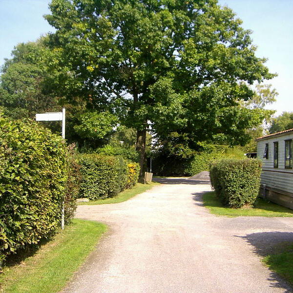 Ferienpark Waldfrieden