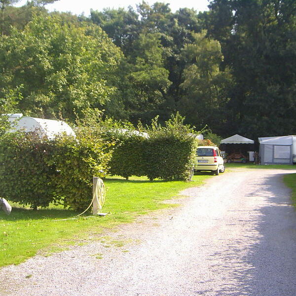 Ferienpark Waldfrieden