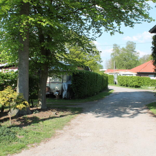 Ferienpark Waldfrieden