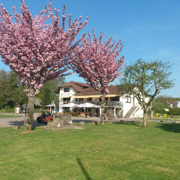 Mosel-Camping Dreiländereck
