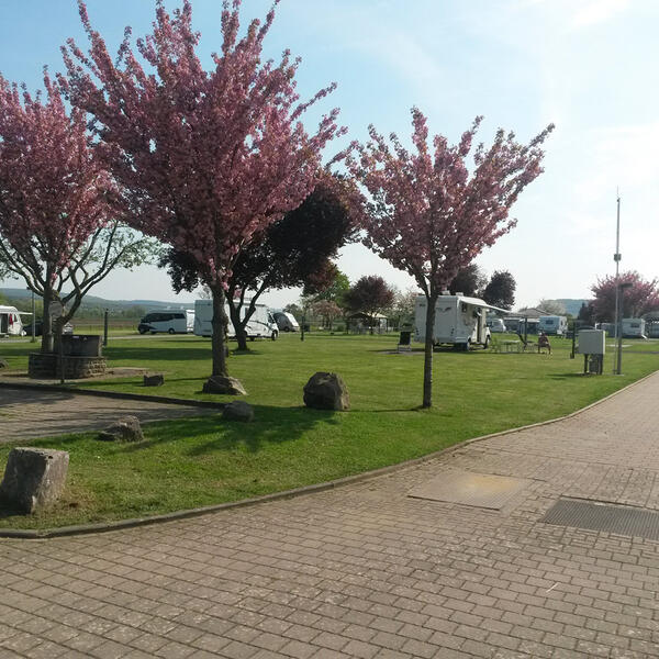 Mosel-Camping Dreiländereck