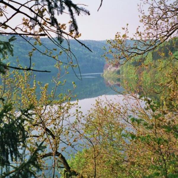 Campingplatz Edersee-Paradies