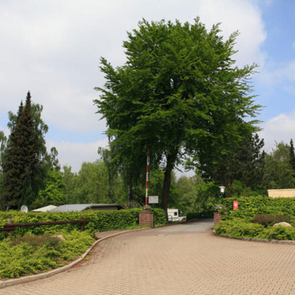 Campingplatz Elisabeth-See