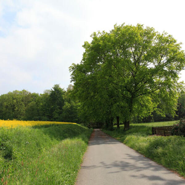 Campingplatz Elisabeth-See
