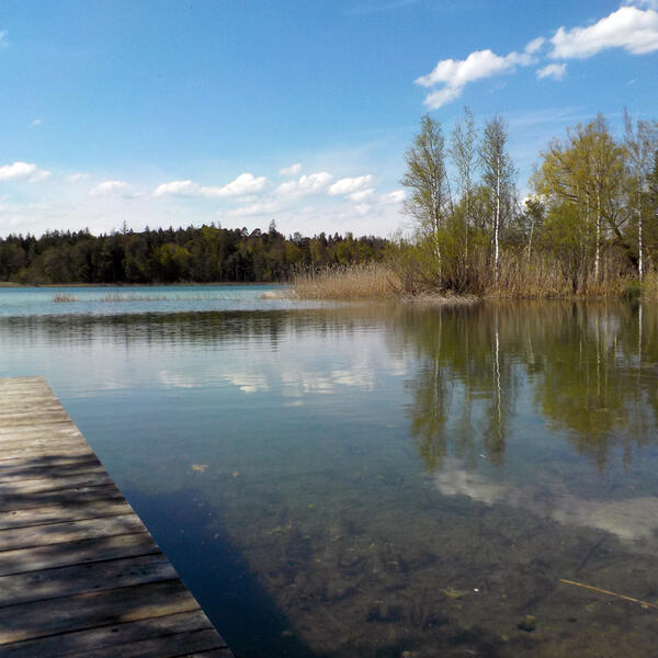 Campingplatz Fohnsee