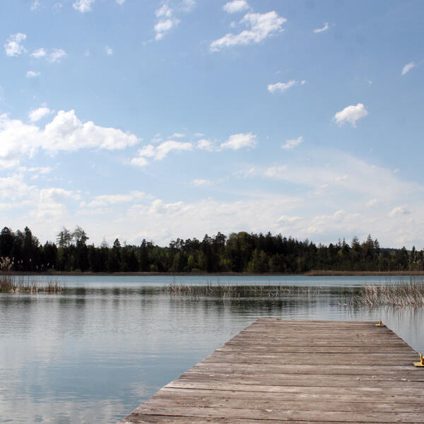 Campingplatz Fohnsee