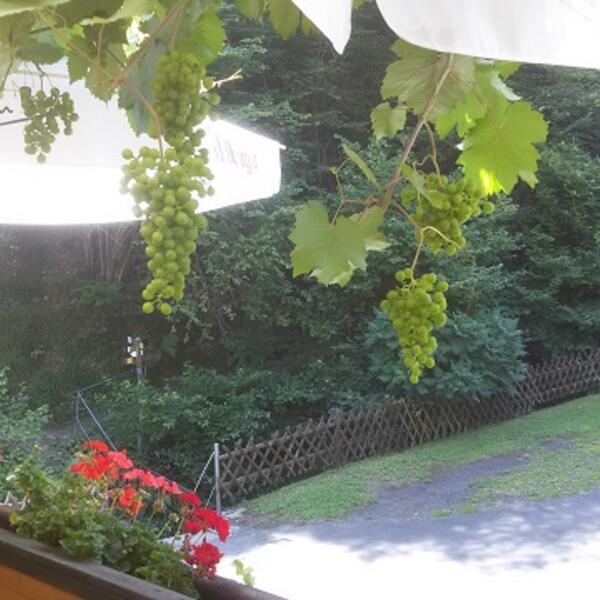 Campingplatz & Gasthaus Friedenau