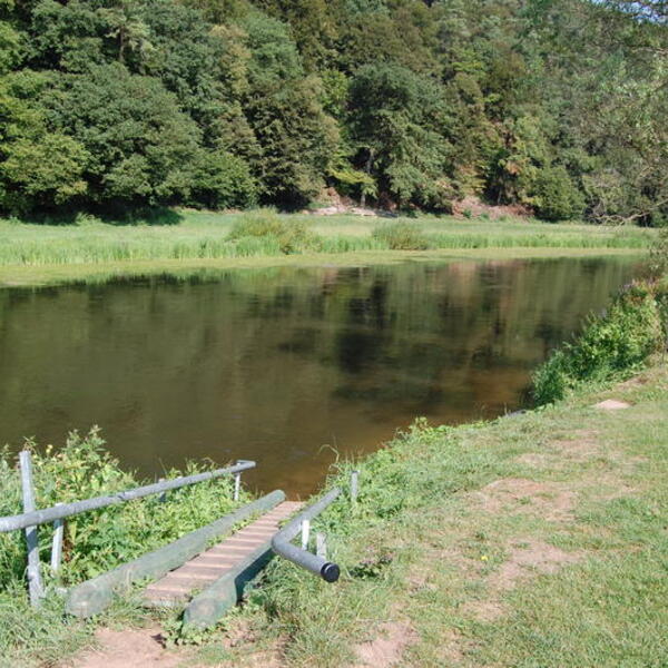 4 Sterne Camping Fuldaschleife
