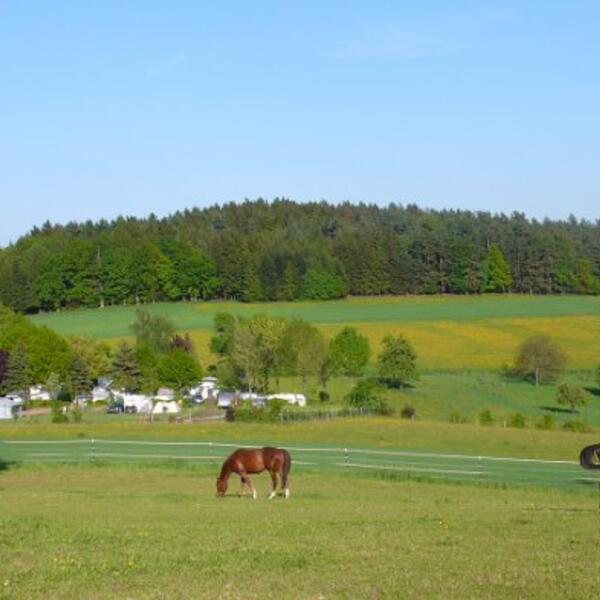 Camping Park Hammelbach