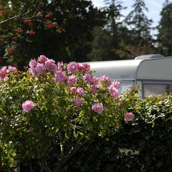 Campingplatz Heidkoppel